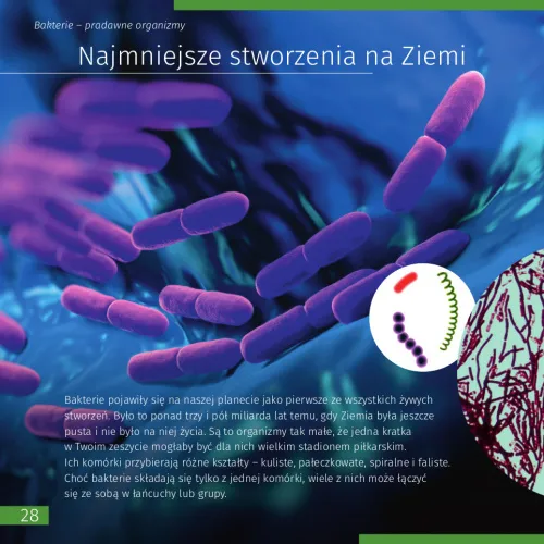 fotografía invisible World (el mundo invisible). El libro educativo. Tapa dura,  9