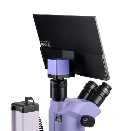 fotografía estereomicroscopio digital MAGUS Stereo D7T LCD BASE,  10