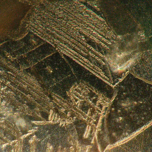 gráfico microscopio metalúrgico invertido MAGUS Metal V700 BD,  17