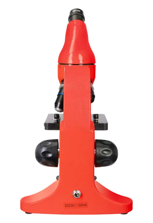 fotografía microscopio Levenhuk Rainbow 50L PLUS,  9