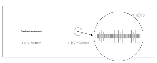gráfico portaobjetos de calibración MAGUS CS3 (0,01/0,05/0,1),  5