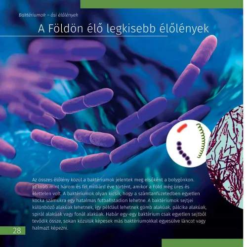 imagen libro enciclopédico «Space. Microworld.» (Espacio y microcosmos), edición de dos volúmenes. Tapa dura,  5
