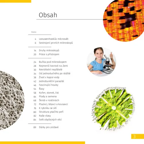 imagen el mundo invisible. Libro educativo,  2