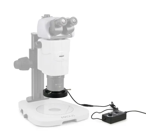 gráfico lámpara anular LED MAGUS RL18T,  3