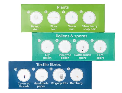 fotografía set de 12 preparaciones Levenhuk Discovery Flora,  3