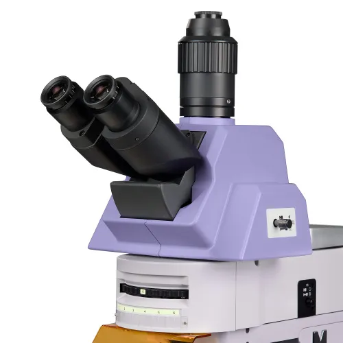 fotografía microscopio de fluorescencia MAGUS Lum 490L,  10