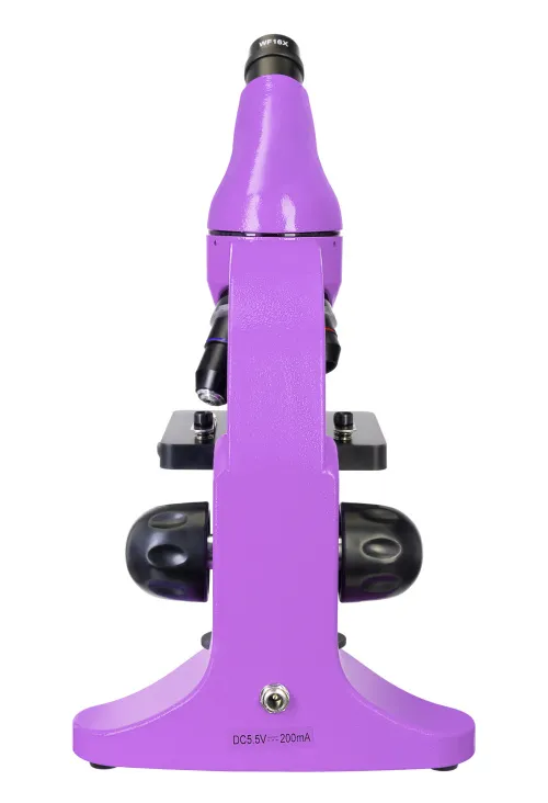 fotografía microscopio Levenhuk Rainbow 50L PLUS,  9