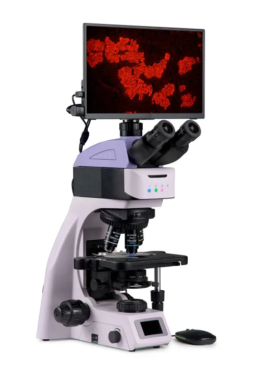 fotografía microscopio digital de fluorescencia MAGUS Lum D460L LCD,  3