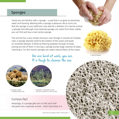 imagen libro enciclopédico «Space. Microworld.» (Espacio y microcosmos), edición de dos volúmenes. Tapa dura,  11