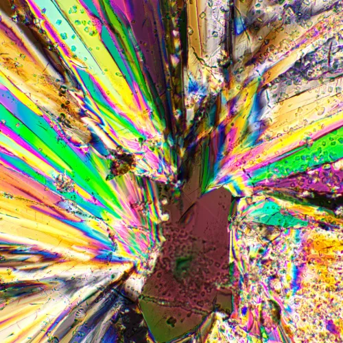 imagen kit de polarizador/analizador MAGUS SPD1,  3