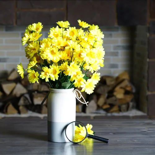 foto lupa Levenhuk Zeno Handy ZH5,  11