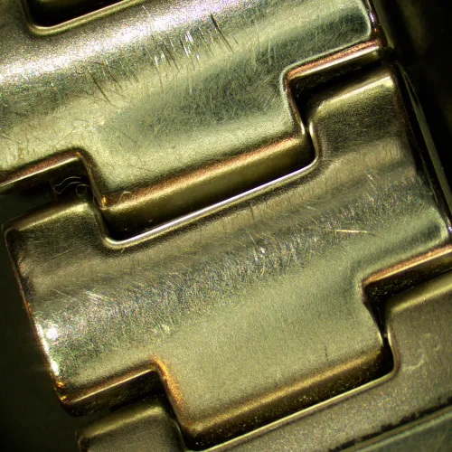 fotografía estereomicroscopio MAGUS Stereo 7T,  14