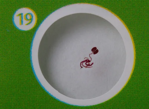 fotografía set de preparaciones Levenhuk LabZZ CP24: criaturas y plantas,  10