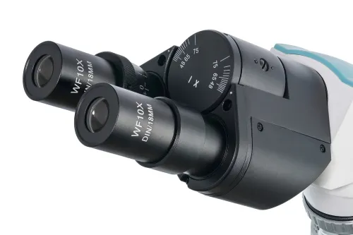 gráfico microscopio binocular Levenhuk 500B,  6