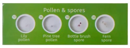 fotografía set de preparaciones Levenhuk LabZZ CP24: criaturas y plantas,  6