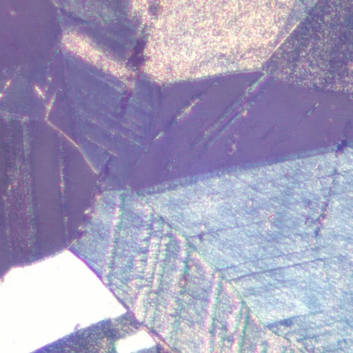 gráfico microscopio metalúrgico MAGUS Metal 600 BD,  21