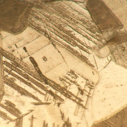 gráfico microscopio metalúrgico invertido MAGUS Metal V700 BD,  16