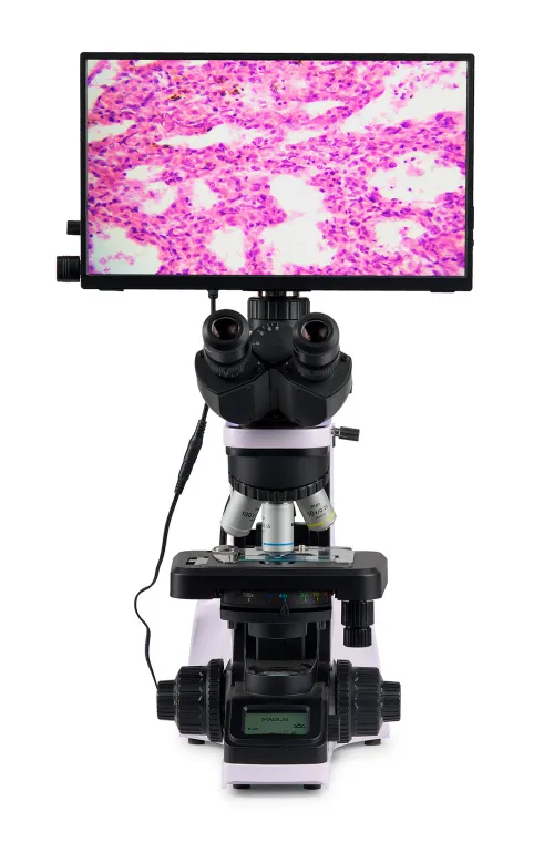 gráfico microscopio digital biológico MAGUS Bio D240T LCD,  4