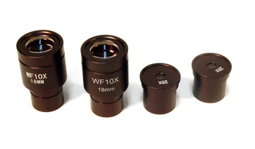 imagen microscopio biológico Levenhuk 625,  2