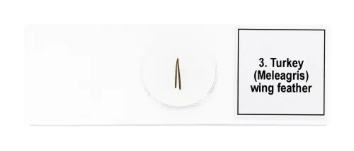 fotografía set de preparaciones para microscopio Levenhuk Discovery Prof DPS 5. «Aves»,  7