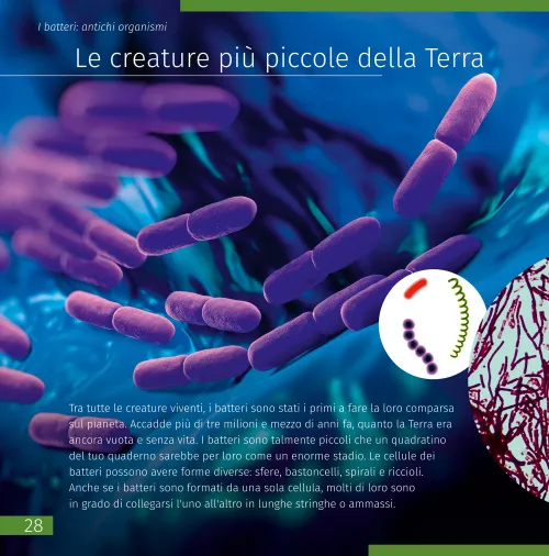 imagen el mundo invisible. Libro educativo,  5