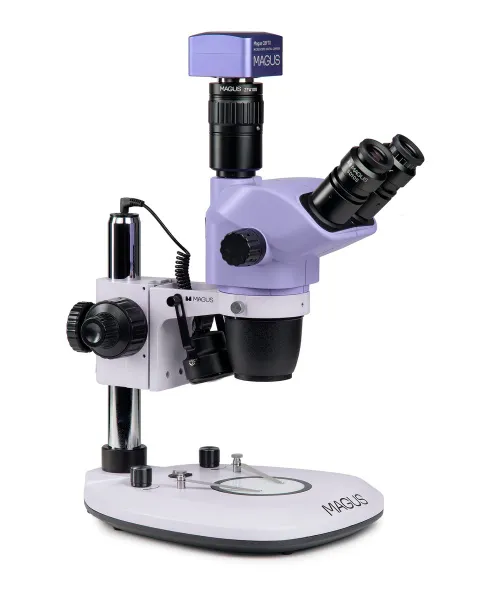imagen estereomicroscopio digital MAGUS Stereo D8T PLUS,  3