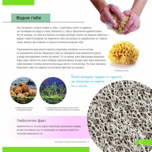 fotografía invisible World (el mundo invisible). El libro educativo. Tapa dura,  7