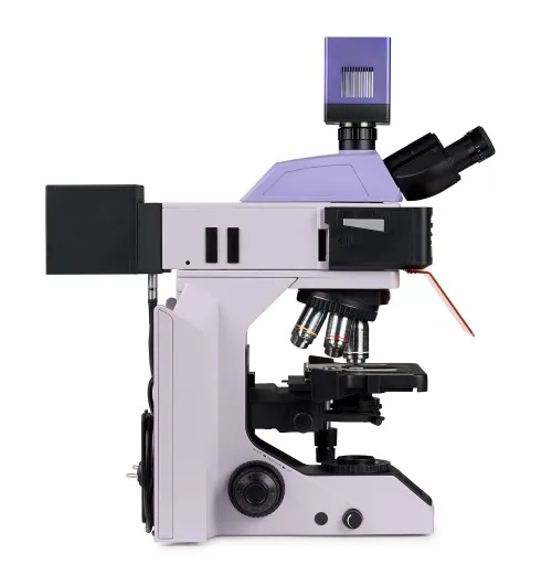 foto microscopio digital de fluorescencia MAGUS Lum D470L,  8