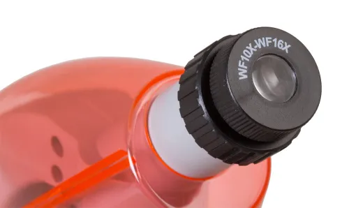 fotografía microscopio Levenhuk LabZZ M101,  5