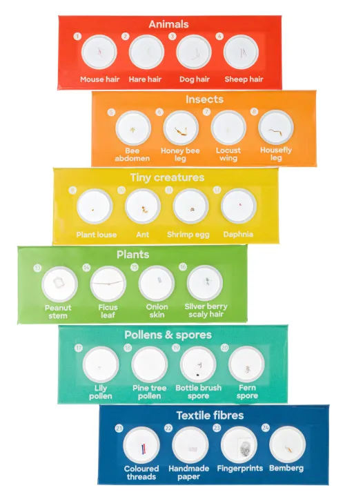 imagen microscopio Levenhuk Discovery Micro con libro,  17