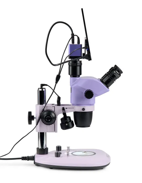 fotografía estereomicroscopio digital MAGUS Stereo D8T LCD BASE,  8