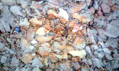 foto microscopio digital wifi Levenhuk DTX 720,  16