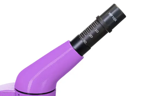 fotografía microscopio Levenhuk Rainbow 50L,  12