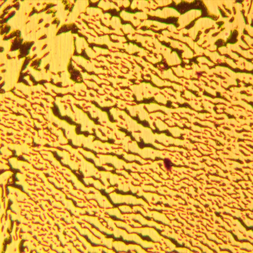 imagen microscopio metalúrgico MAGUS Metal 600,  24