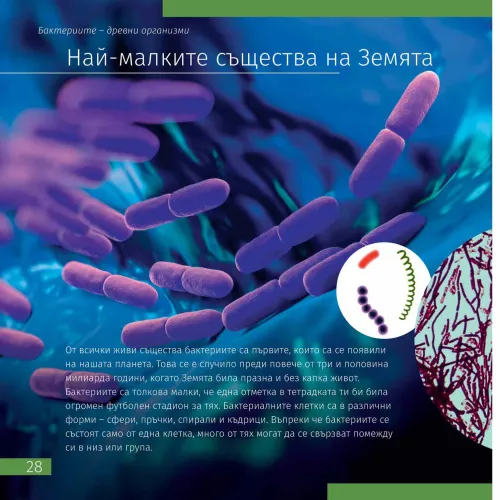 fotografía invisible World (el mundo invisible). El libro educativo. Tapa dura,  5