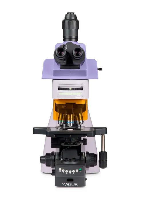 fotografía microscopio de fluorescencia MAGUS Lum 490L,  8