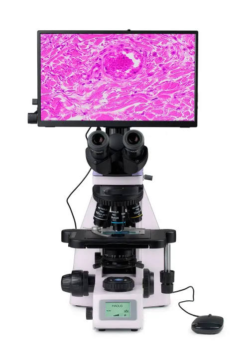 fotografía microscopio digital biológico MAGUS Bio D260T LCD,  8