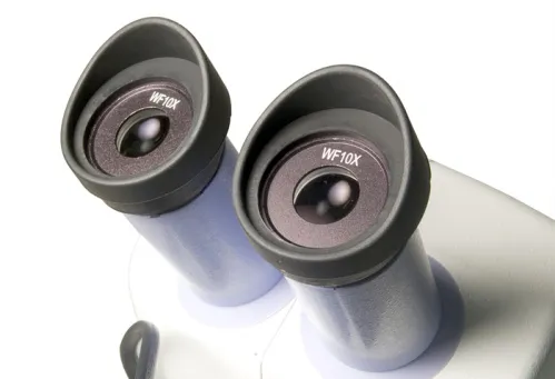 fotografía microscopio Levenhuk 5ST,  6