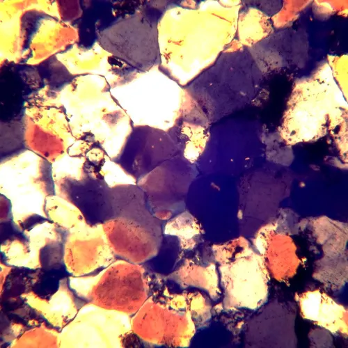 gráfico microscopio polarizador MAGUS Pol 850,  22