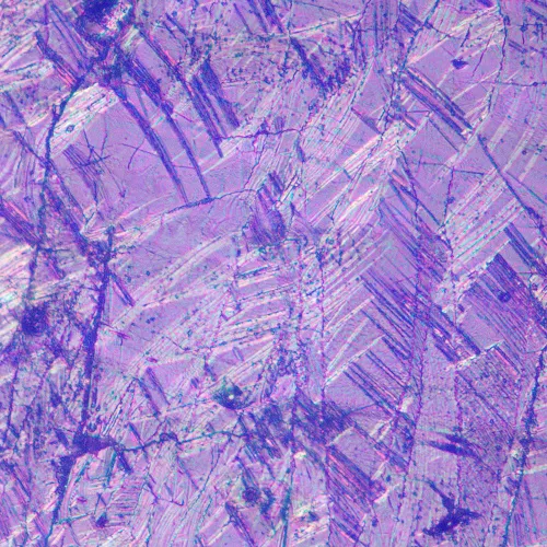 gráfico microscopio metalúrgico invertido MAGUS Metal V700 DIC,  17