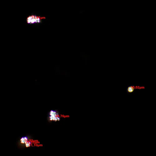 imagen kit de polarizador/analizador MAGUS SPD1,  8