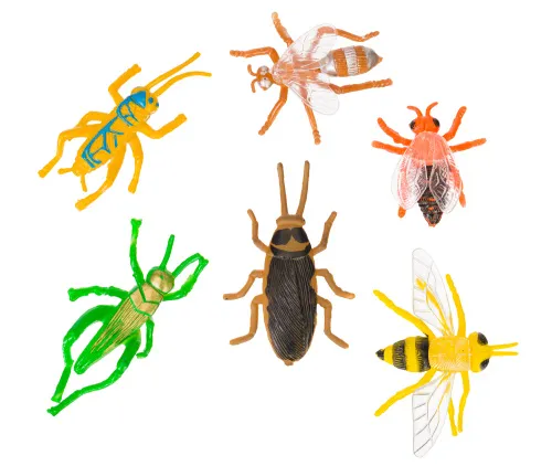 gráfico kit de explorador Levenhuk Discovery Basics EK90,  14