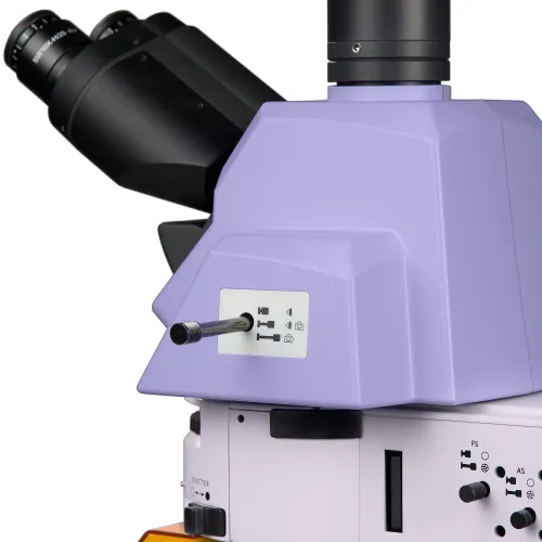 fotografía microscopio de fluorescencia MAGUS Lum 490L,  12