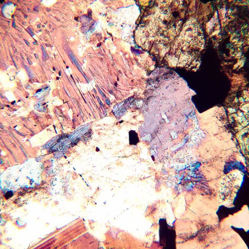 foto microscopio polarizador digital MAGUS Pol D800,  20