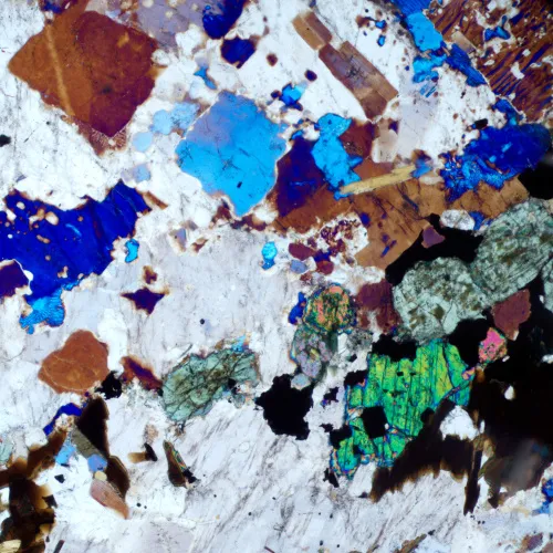 foto microscopio polarizador MAGUS Pol 800,  12