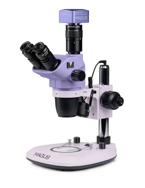 imagen estereomicroscopio digital MAGUS Stereo D8T PLUS,  2