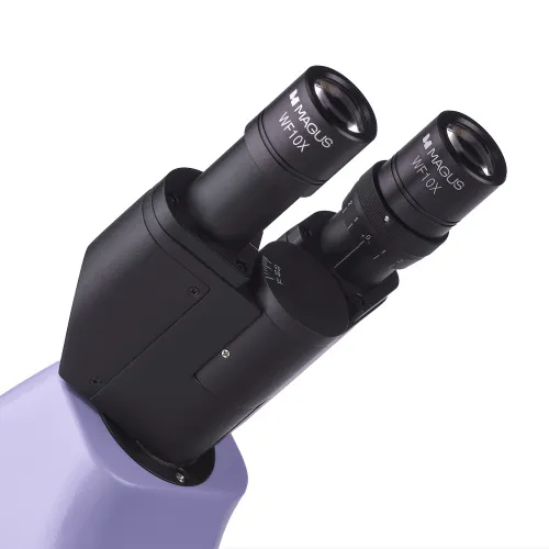 gráfico microscopio biológico MAGUS Bio 230B,  12