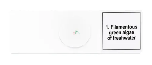 foto set de preparaciones para microscopio Levenhuk Discovery Prof DPS 5. «Biología»,  7