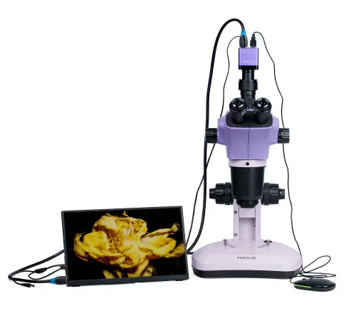 fotografía estereomicroscopio digital MAGUS Stereo D9T LCD,  6
