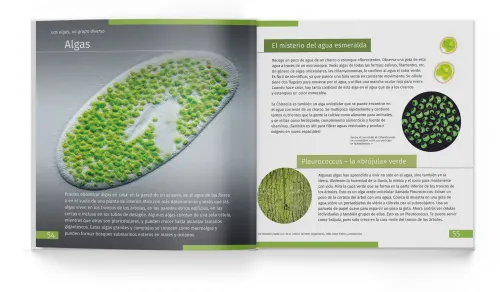 fotografía invisible World (el mundo invisible). El libro educativo. Tapa dura,  3